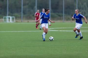 Bild 167 - F FSG Kaltenkirchen - SV Wahlstedt : Ergebnis: 6:1